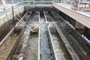 Weir Rover