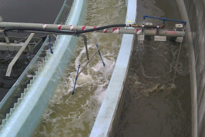 Peripheral Trough Spray